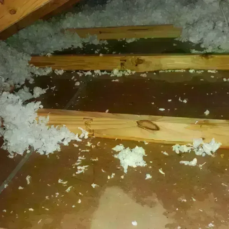 Attic Water Damage in Moultrie, GA